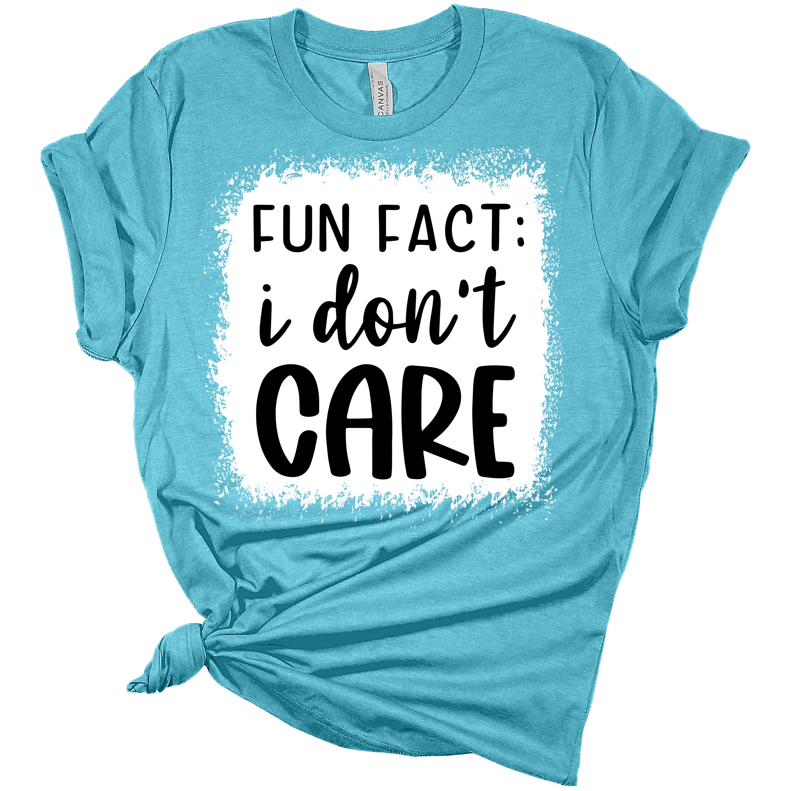 Fun Fact I Don't Care Funny Sarcastic Women's Bella T-Shirt